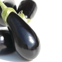  AUBERGINE AUBERGINE-SHAKIRA F1 (Solanum melongena)-Graines biologiques certifiées - PROSEM