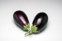  AUBERGINE AUBERGINE-BELLINI F1 (Solanum melongena)- - PROSEM