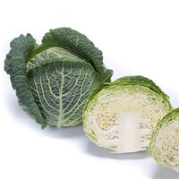  CHOU DE MILAN CHOU DE MILAN-TCA 591 F1 (Brassica oleracera capitata saubadan)- - PROSEM